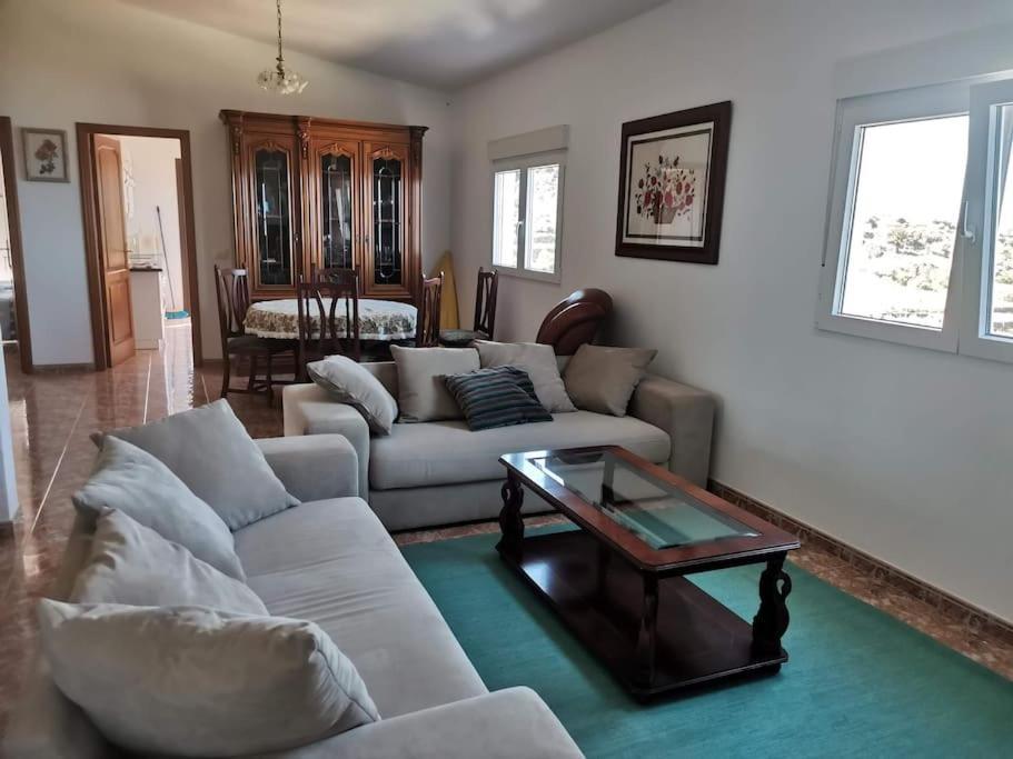 Ferienwohnung Brisa Del Mar La Guancha 外观 照片